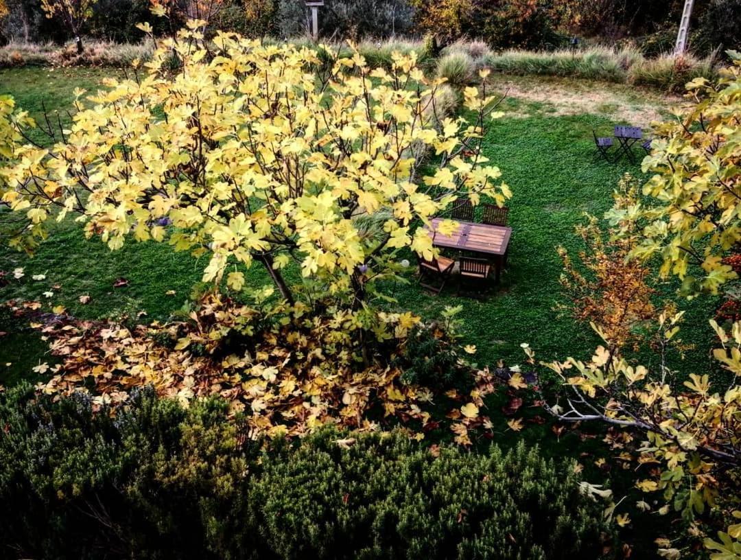 O Chardinet D'A Formiga Konuk evi Aínsa Dış mekan fotoğraf