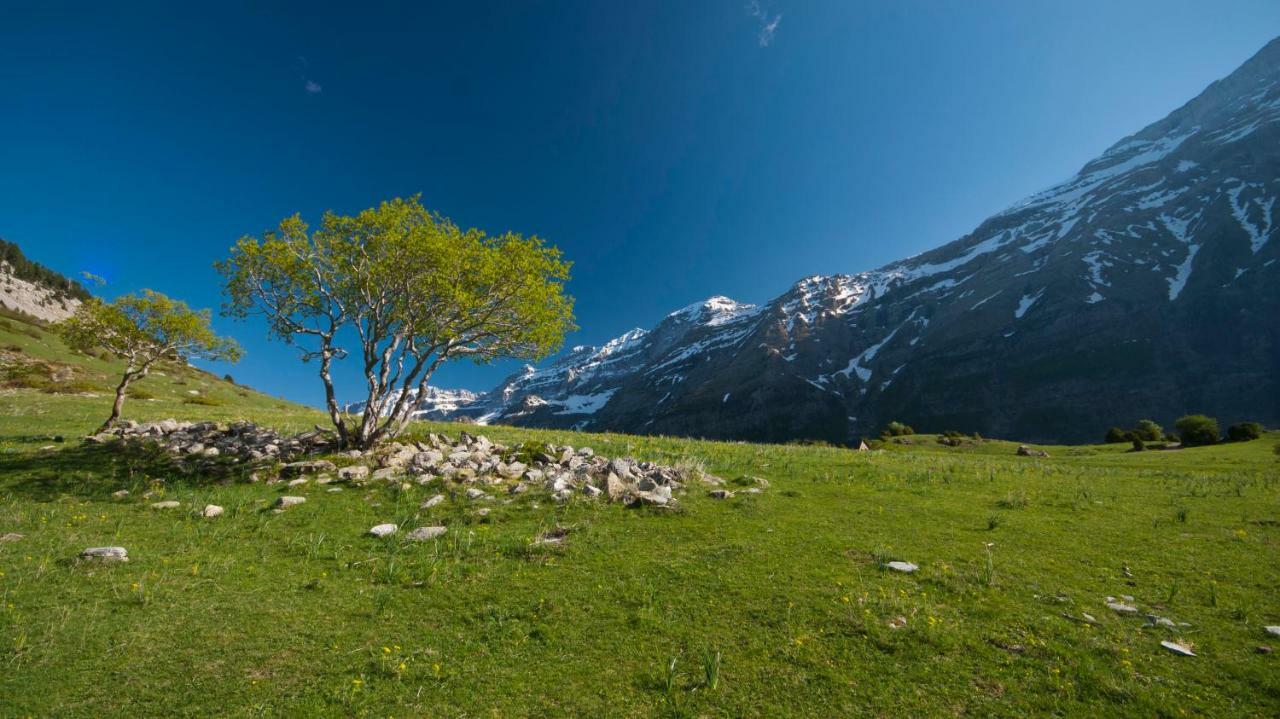 O Chardinet D'A Formiga Konuk evi Aínsa Dış mekan fotoğraf